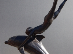 Dolfijn en jongen.jpg