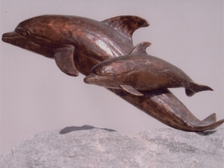 Dolfijnen.jpg