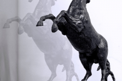 IMG_8929b.pg (Medium)