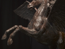 Pegasus4.jpg