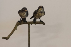 Pretty birds (Medium)