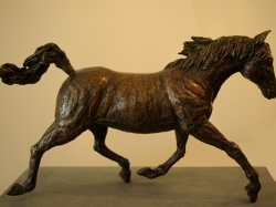 paard201301.jpg