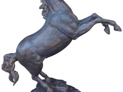 steigerend paard.jpg