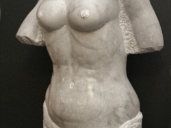 Marmer torso 1.jpg